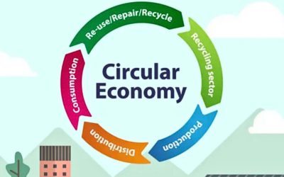 Why the Circular Economy is Everyone’s Business